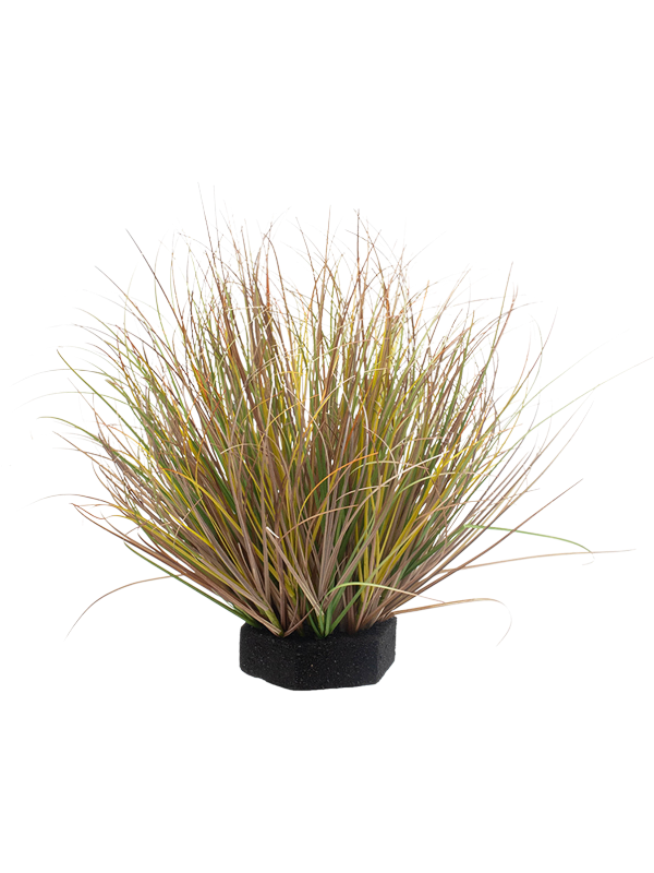 Grass Green Variegated (FR) 40 cm