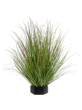 Grass Green Red Tip (FR) 50 cm