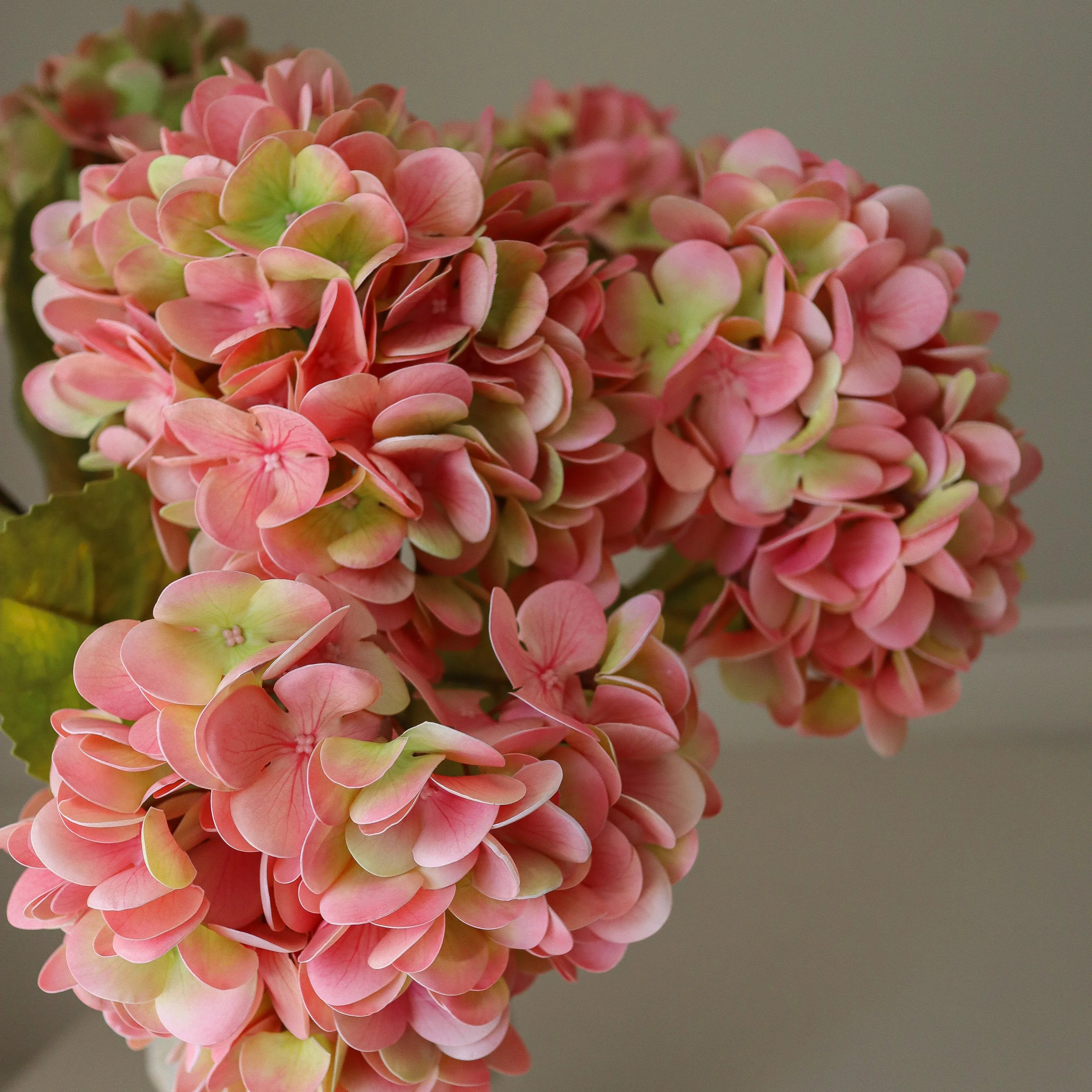 Soft Pink Hydrangea Bouquet Met Large Earth
