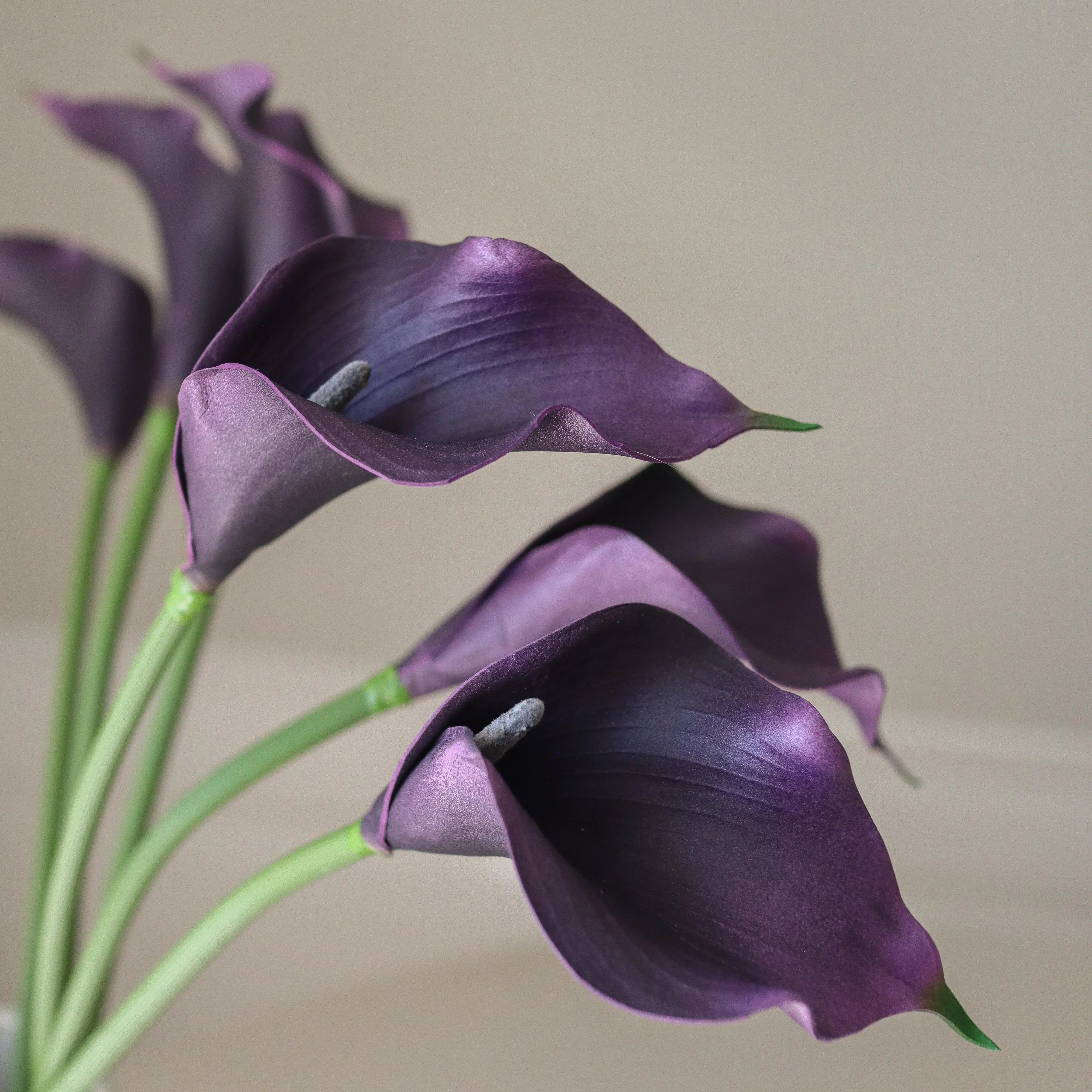 Dark Purple Calla Lily Bouquet Met Large Earth