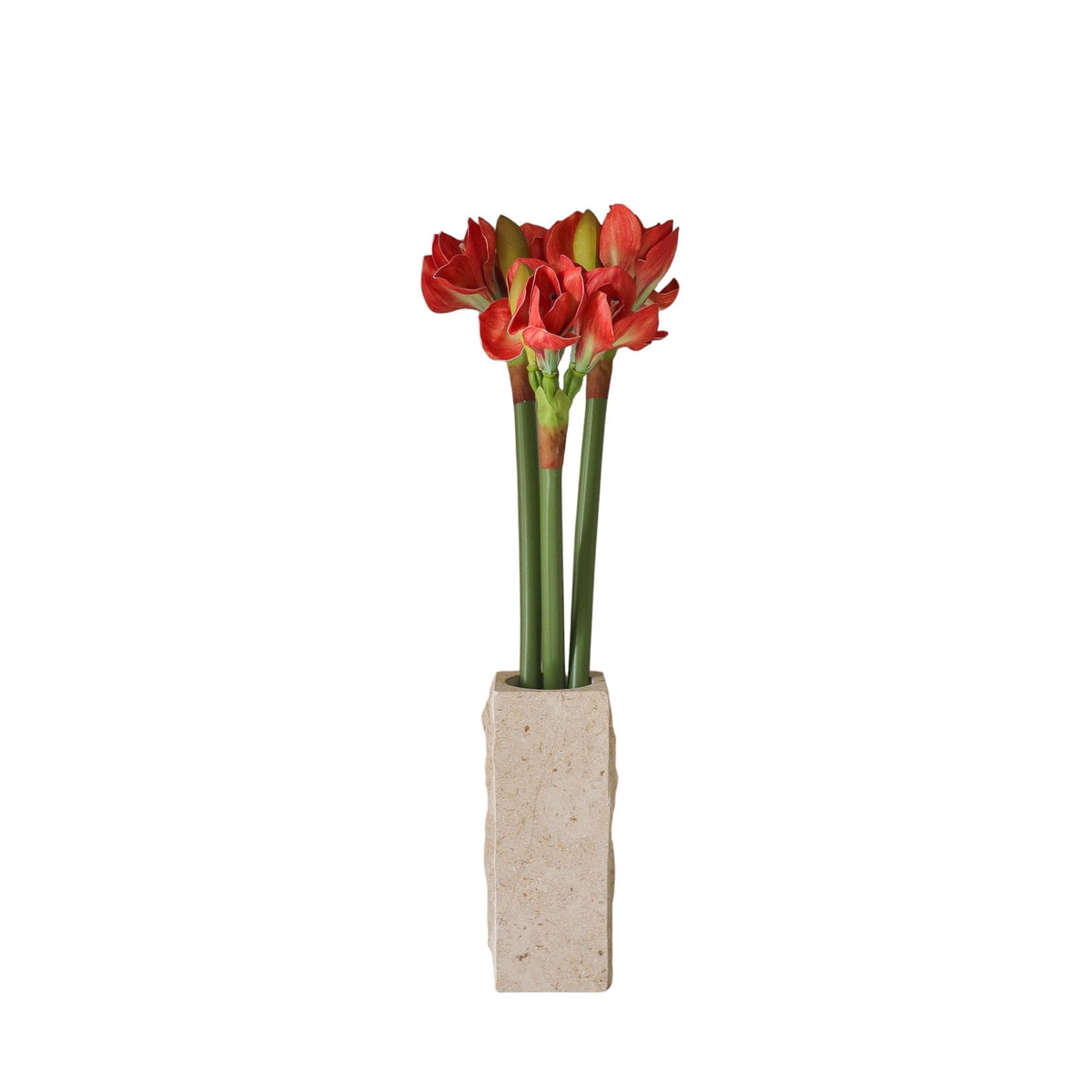 Orange Amaryllis Bouquet