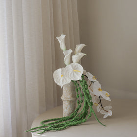 Verdant Calla