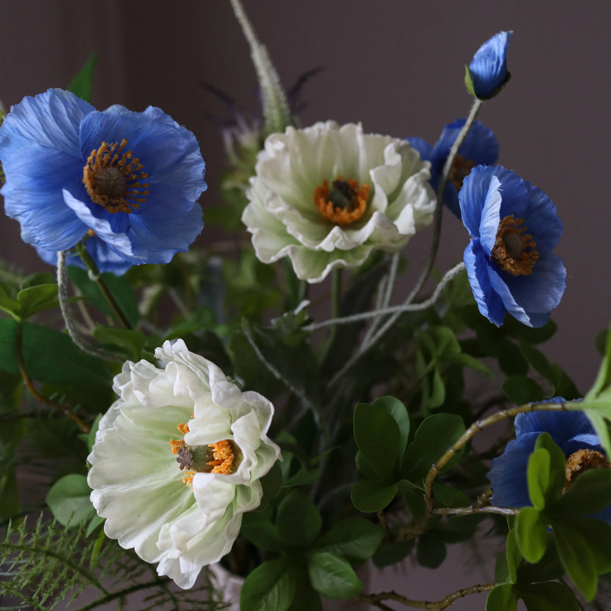 Blue Poise