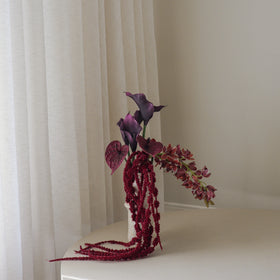 Burgundy Dream