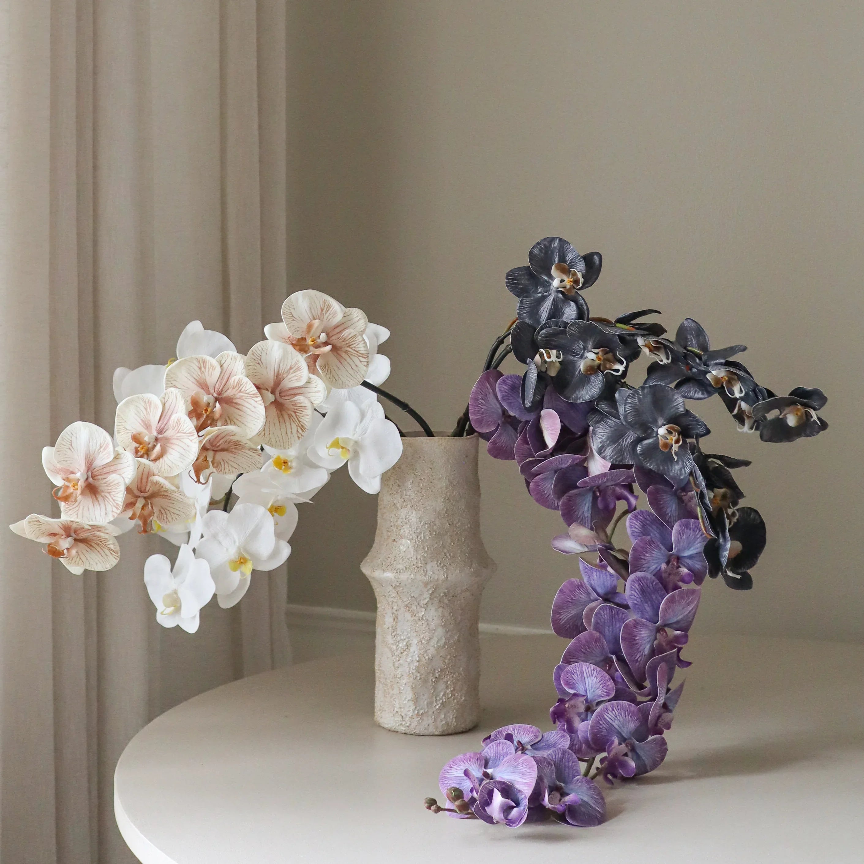 Orchid Study