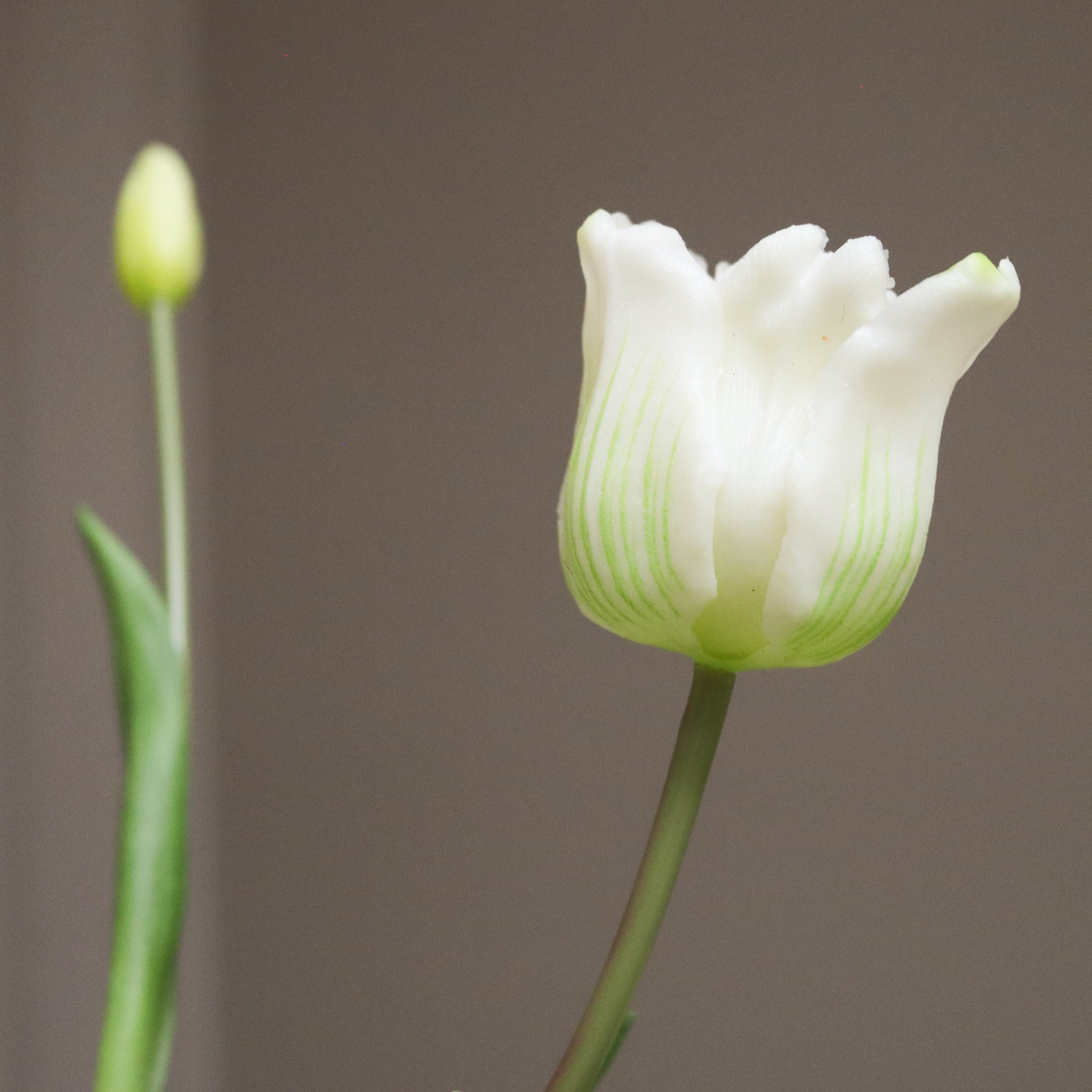 White Triumph Tulip Bouquet — kunstbloemen boeket van Botane, detailfoto 2